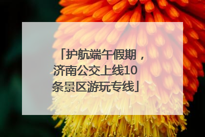 护航端午假期，济南公交上线10条景区游玩专线