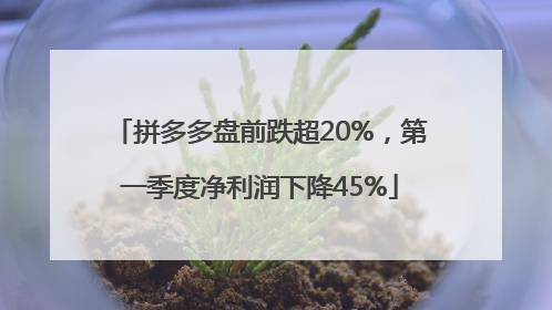 拼多多盘前跌超20%，第一季度净利润下降45%