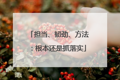 担当、韧劲、方法：根本还是抓落实