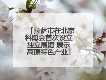 拉萨市在北京科博会首次设立独立展馆 展示高原特色产业