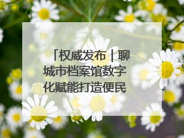 权威发布｜聊城市档案馆数字化赋能打造便民服务新模式