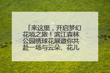 来这里，开启梦幻花境之旅！滨江森林公园绣球花展邀你共赴一场与云朵、花儿的浪漫之约