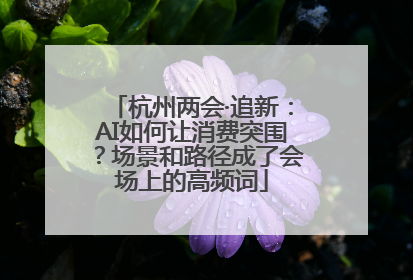杭州两会·追新：AI如何让消费突围？场景和路径成了会场上的高频词