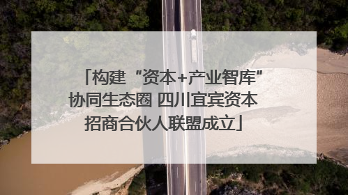 构建“资本+产业智库”协同生态圈 四川宜宾资本招商合伙人联盟成立