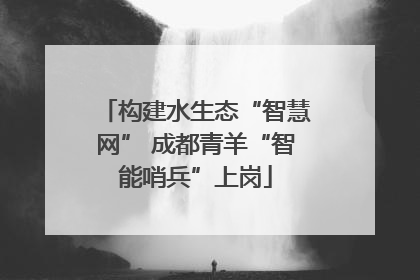 构建水生态“智慧网” 成都青羊“智能哨兵”上岗