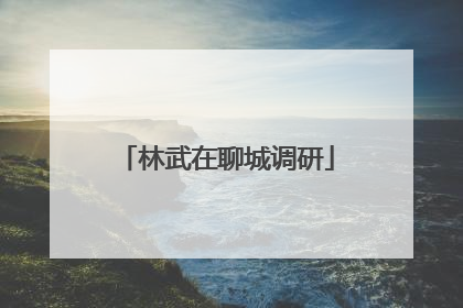 林武在聊城调研