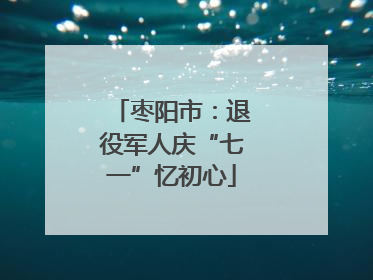 枣阳市：退役军人庆“七一”忆初心