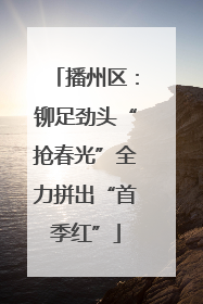播州区：铆足劲头“抢春光”全力拼出“首季红”