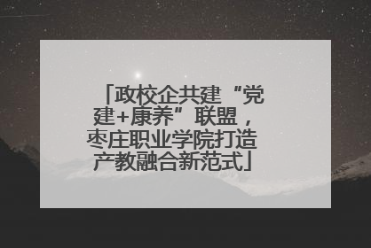 政校企共建“党建+康养”联盟，枣庄职业学院打造产教融合新范式