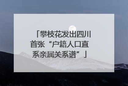 攀枝花发出四川首张“户籍人口直系亲属关系谱”