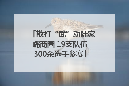 散打“武”动陆家嘴商圈 19支队伍300余选手参赛