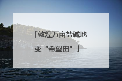 敦煌万亩盐碱地变“希望田”