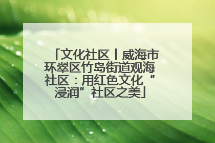 文化社区丨威海市环翠区竹岛街道观海社区：用红色文化“浸润”社区之美