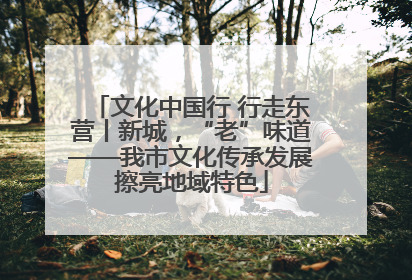 文化中国行 行走东营丨新城，“老”味道——我市文化传承发展擦亮地域特色