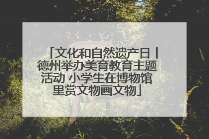 文化和自然遗产日丨德州举办美育教育主题活动 小学生在博物馆里赏文物画文物