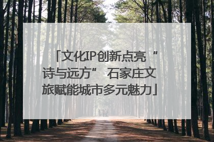 文化IP创新点亮“诗与远方” 石家庄文旅赋能城市多元魅力