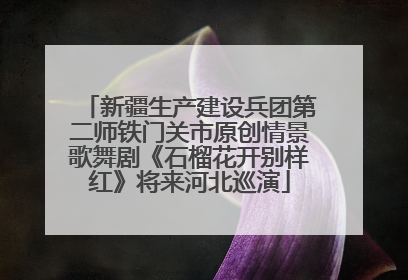 新疆生产建设兵团第二师铁门关市原创情景歌舞剧《石榴花开别样红》将来河北巡演