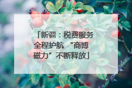 新疆：税费服务全程护航 “商博磁力”不断释放