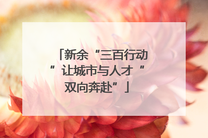 新余“三百行动”让城市与人才“双向奔赴”