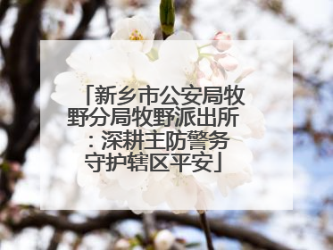 新乡市公安局牧野分局牧野派出所：深耕主防警务 守护辖区平安