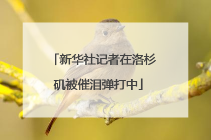 新华社记者在洛杉矶被催泪弹打中