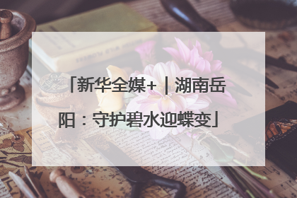 新华全媒+｜湖南岳阳：守护碧水迎蝶变