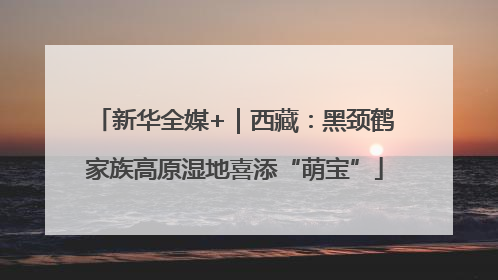 新华全媒+｜西藏：黑颈鹤家族高原湿地喜添“萌宝”