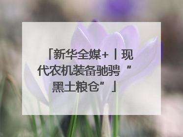 新华全媒+丨现代农机装备驰骋“黑土粮仓”