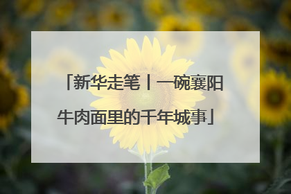 新华走笔丨一碗襄阳牛肉面里的千年城事