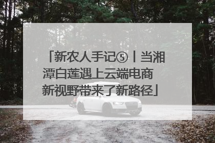 新农人手记⑤丨当湘潭白莲遇上云端电商 新视野带来了新路径