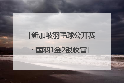 新加坡羽毛球公开赛：国羽1金2银收官