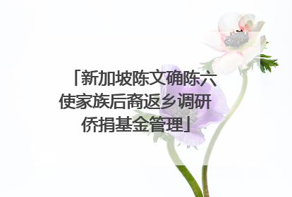 新加坡陈文确陈六使家族后裔返乡调研侨捐基金管理