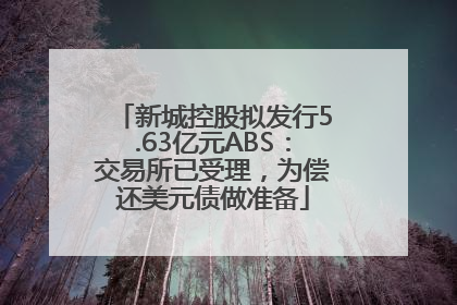 新城控股拟发行5.63亿元ABS：交易所已受理，为偿还美元债做准备