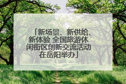 新场景、新供给、新体验 全国旅游休闲街区创新交流活动在岳阳举办