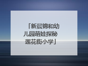 新晨锦和幼儿园萌娃探秘莲花街小学