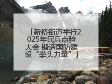 新桥街道举行2025年民兵点验大会 锻造国防建设“拳头力量”