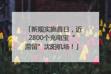 新规实施首日，近2800个充电宝“滞留”沈阳机场！