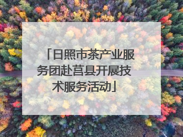 日照市茶产业服务团赴莒县开展技术服务活动