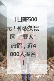 日薪500元！神农架景区 “野人” 热招，近4000人报名