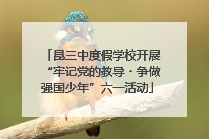 昆三中度假学校开展“牢记党的教导・争做强国少年”六一活动