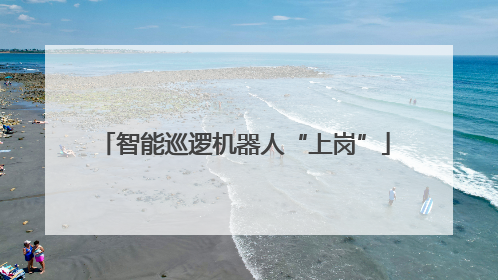 智能巡逻机器人“上岗”