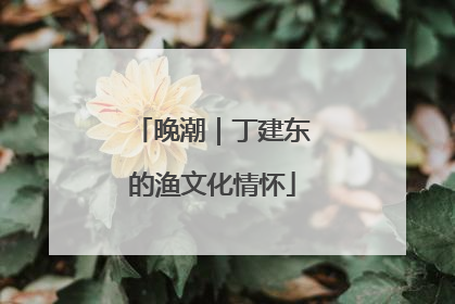 晚潮｜丁建东的渔文化情怀