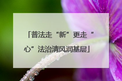 普法走“新”更走“心”法治清风润基层