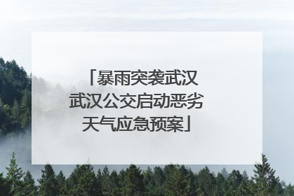 暴雨突袭武汉 武汉公交启动恶劣天气应急预案