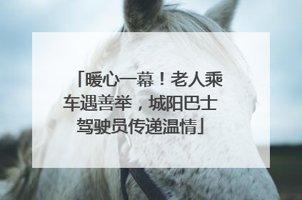 暖心一幕！老人乘车遇善举，城阳巴士驾驶员传递温情