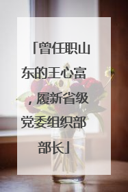 曾任职山东的王心富，履新省级党委组织部部长