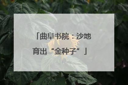 曲阜书院：沙地育出“金种子”