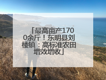 最高亩产1700余斤！东明县刘楼镇：高标准农田增效增收