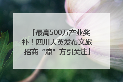 最高500万产业奖补！四川大英发布文旅招商“凉”方引关注