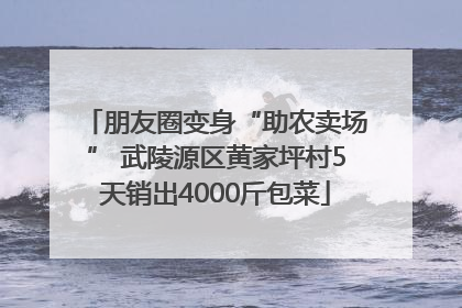 朋友圈变身“助农卖场” 武陵源区黄家坪村5天销出4000斤包菜